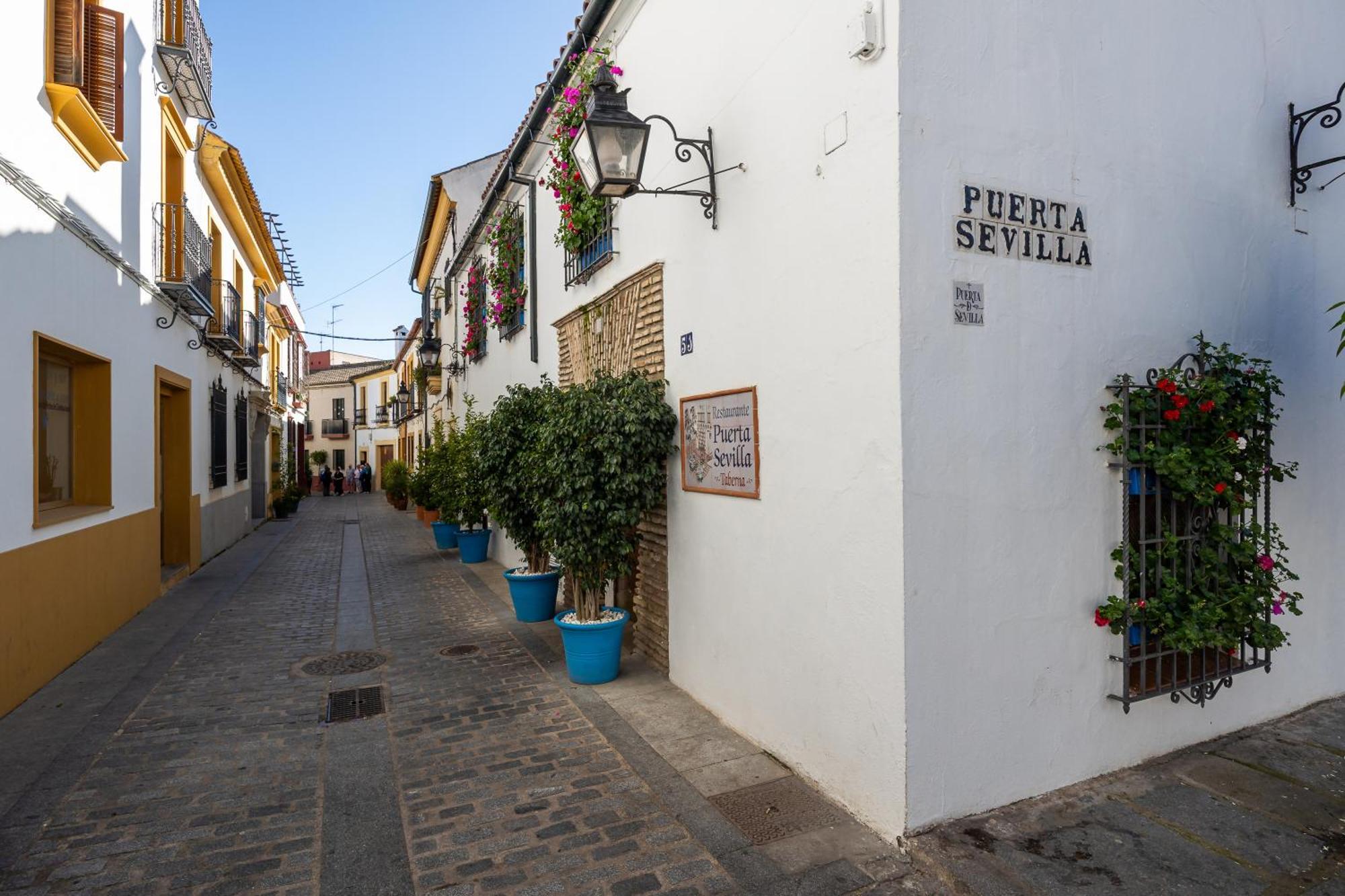 Las Flores De San Basilio Cordoba Exterior photo